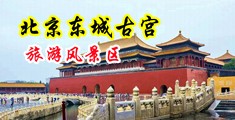 骚逼夹住大阴茎抽插视频免费看中国北京-东城古宫旅游风景区